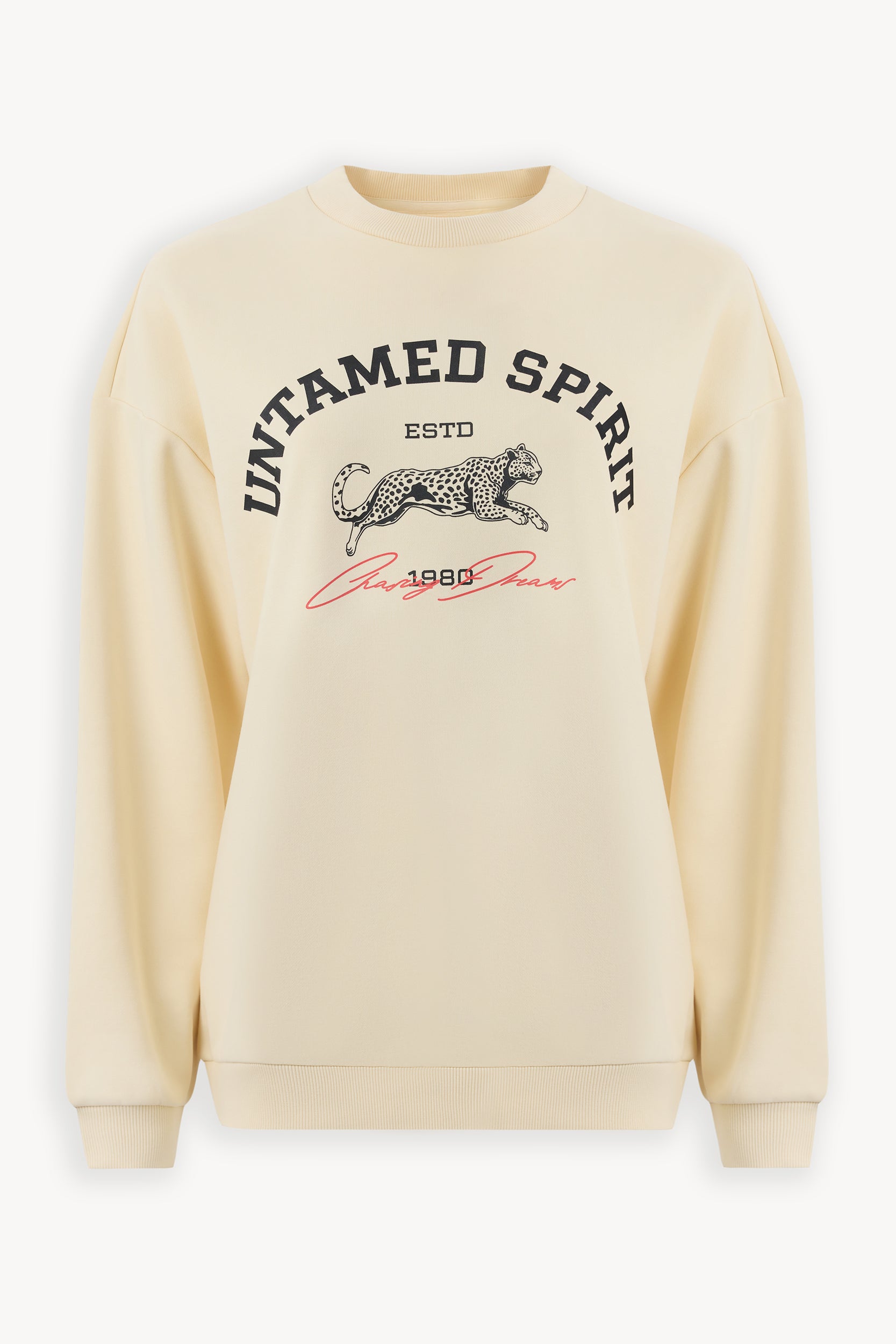 Embroidered sweatshirt Ecru PINXIT S